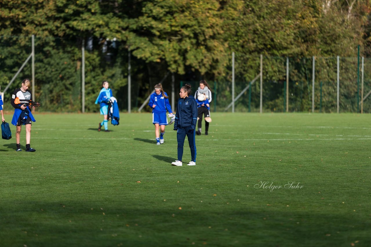 Bild 135 - B-Juniorinnen Hamburger SV - FC Neubrandenburg 04 : Ergebnis: 3:1